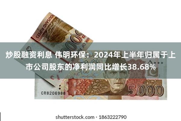 炒股融资利息 伟明环保：2024年上半年归属于上市公司股东的净利润同比增长38.68%