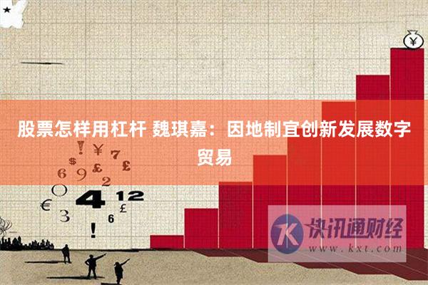 股票怎样用杠杆 魏琪嘉：因地制宜创新发展数字贸易