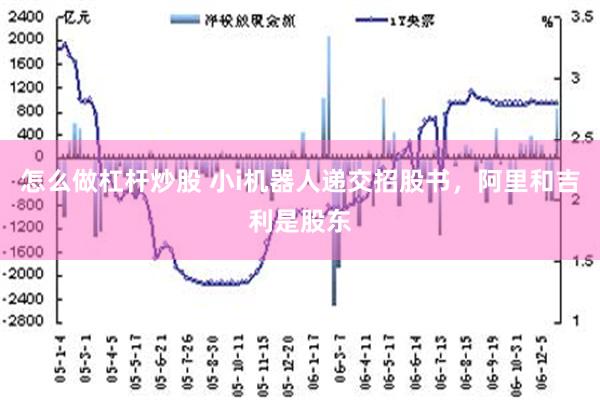 怎么做杠杆炒股 小i机器人递交招股书，阿里和吉利是股东