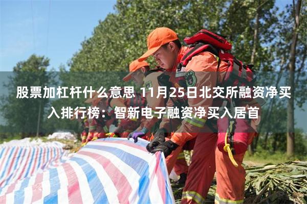 股票加杠杆什么意思 11月25日北交所融资净买入排行榜：智新电子融资净买入居首