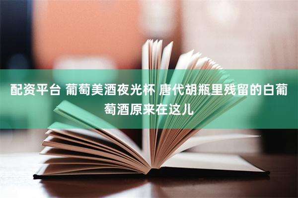 配资平台 葡萄美酒夜光杯 唐代胡瓶里残留的白葡萄酒原来在这儿